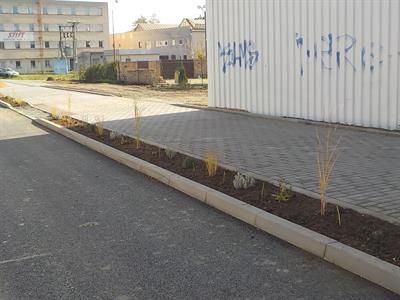 Služby města * Výsadba zeleně v ulici U Zastávky