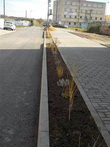 Služby města * Výsadba zeleně v ulici U Zastávky