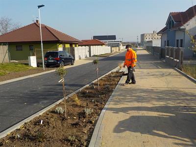 Služby města * Výsadba zeleně v ulici U Zastávky