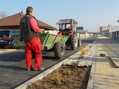 Služby města * Výsadba zeleně v ulici U Zastávky