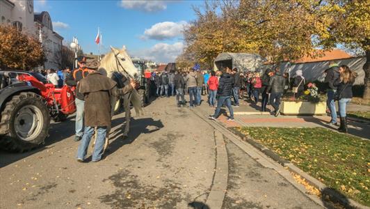Svatomartinské otevřené sklepy