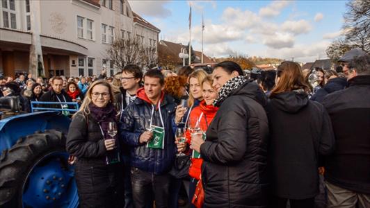 Svatomartinské otevřené sklepy