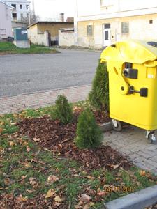 Nová výsadba