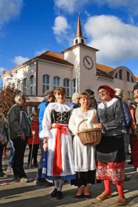 Svatomartinské otevřené sklepy 2017 