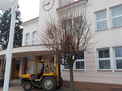 Služby města * Ořez korun stromů na náměstí před radnicí