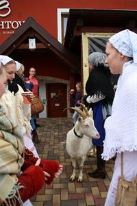 Velkopavlovické ostatky