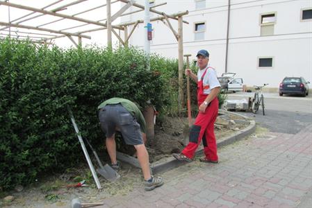 Služby města * Úpravy u sóla a jeho okolí za sokolovnou