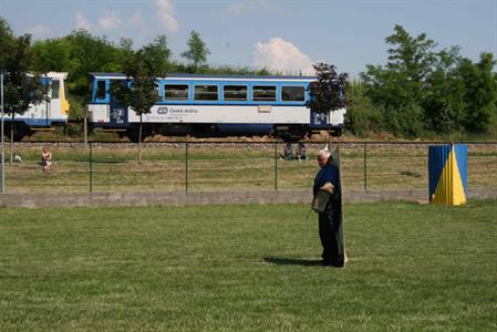 Kynologové předvedli své svěřence