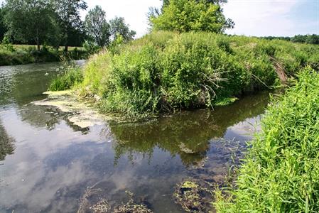 Soutok Trkmanky a Dyje