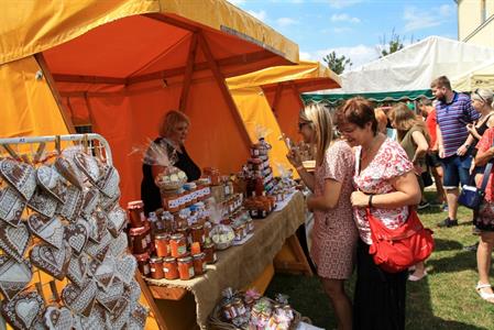 Meruňkové šílenství aneb pátý ročník Velkopavlovického meruňkobraní