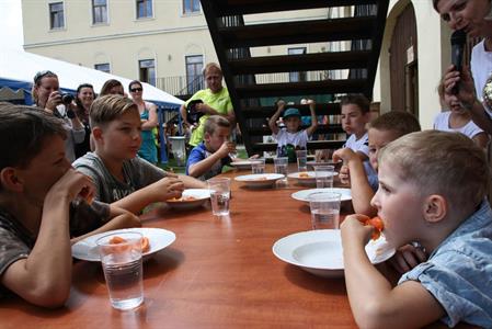 Meruňkové šílenství aneb pátý ročník Velkopavlovického meruňkobraní