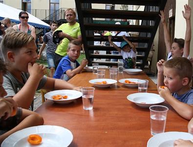 Meruňkové šílenství aneb pátý ročník Velkopavlovického meruňkobraní