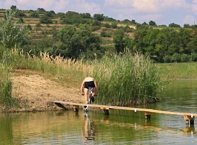 I. ročník akce VELKOPAVLOVICKÁ LÁVKA
