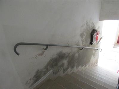 Služby města * Opravy bytů v majetku města 