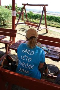 Služby města * Posezení a houpací lavice pod Slunečnou