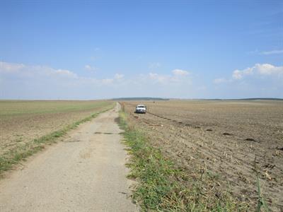 Založení krajinných prvků v k.ú. Velké Pavlovice I