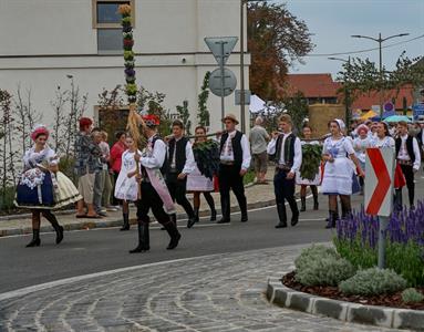 Velkopavlovické vinobraní