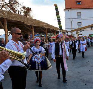 Velkopavlovické vinobraní