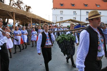 Velkopavlovické vinobraní
