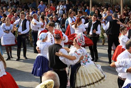 Velkopavlovické vinobraní