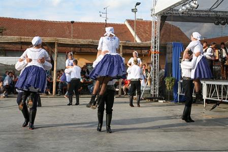 Velkopavlovické vinobraní
