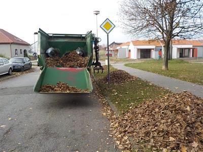 Služby města * Svoz spadaného listí a zeleného odpadu