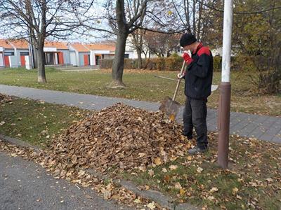 Služby města * Svoz spadaného listí a zeleného odpadu