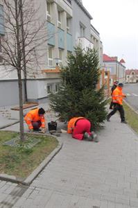 Služby města * Adventní výzdoba města