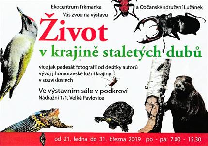 Výstava Život v krajině staletých dubů