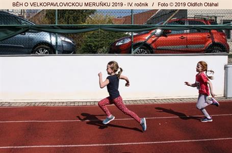 BĚH O VELKOPAVLOVICKOU MERUŇKU 2019 * IV. ročník