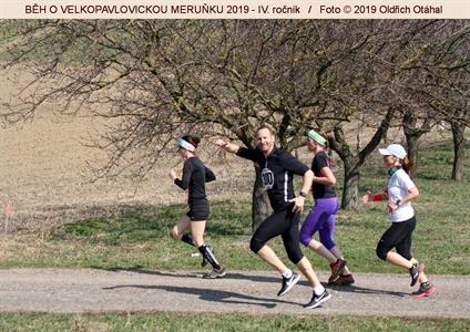 BĚH O VELKOPAVLOVICKOU MERUŇKU 2019 * IV. ročník