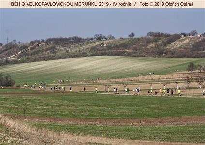 BĚH O VELKOPAVLOVICKOU MERUŇKU 2019 * IV. ročník