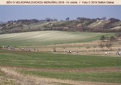 BĚH O VELKOPAVLOVICKOU MERUŇKU 2019 * IV. ročník