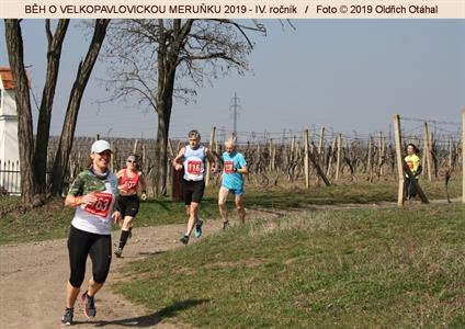 BĚH O VELKOPAVLOVICKOU MERUŇKU 2019 * IV. ročník