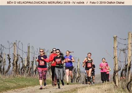 BĚH O VELKOPAVLOVICKOU MERUŇKU 2019 * IV. ročník