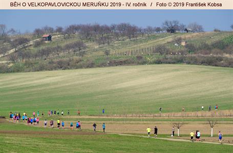 BĚH O VELKOPAVLOVICKOU MERUŇKU 2019 * IV. ročník