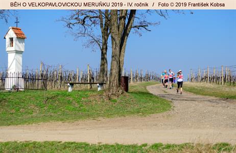 BĚH O VELKOPAVLOVICKOU MERUŇKU 2019 * IV. ročník