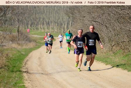 BĚH O VELKOPAVLOVICKOU MERUŇKU 2019 * IV. ročník