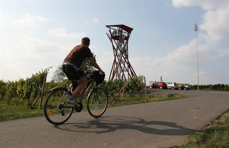 Turistický areál Nad Zahradami s Rozhlednou Slunečná