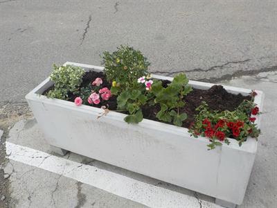 Truhlíky na autobusovém nádraží po útoku zloděje