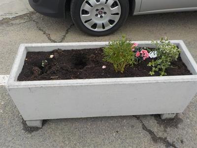 Truhlíky na autobusovém nádraží po útoku zloděje