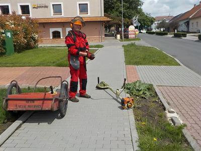 Služby města * Údržba zeleně, sečení trávy