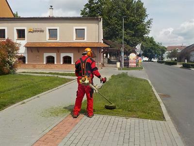 Služby města * Údržba zeleně, sečení trávy