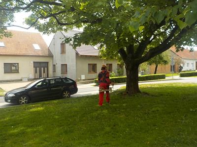 Služby města * Údržba zeleně, sečení trávy