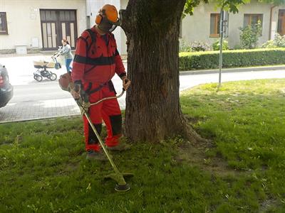 Služby města * Údržba zeleně, sečení trávy