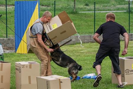 Kynologický klub * Děti a psi 2019
