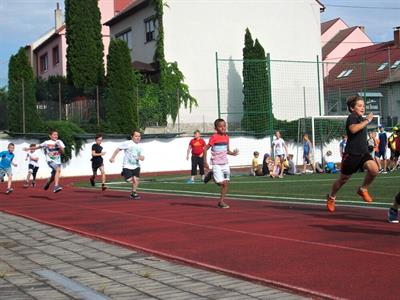 ZŠ * Sportovní olympiáda žáků 1. stupně ZŠ V. Pavlovice