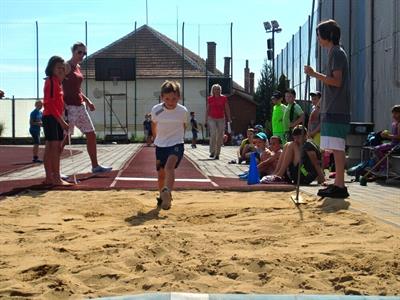 ZŠ * Sportovní olympiáda žáků 1. stupně ZŠ V. Pavlovice