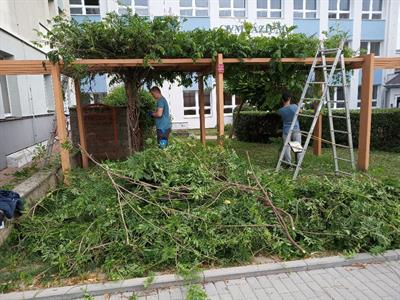 Služby města * Prázdninová pracovní náplň