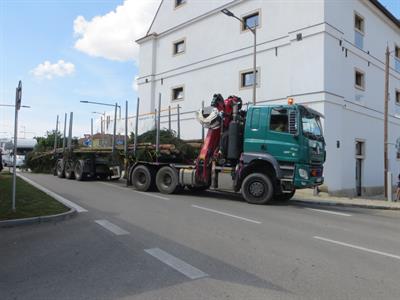 Chasa přivezla hodovní máju